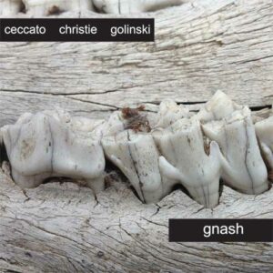 Gnash