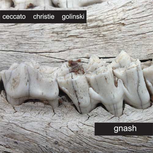 Gnash