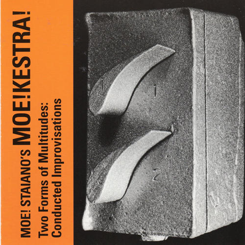 Two Forms of Multitudes: Conducted Improvisations