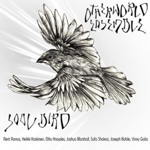 Soul Bird